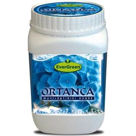 Evergreen Ortanca Mavileştirici 1 kg Gübre