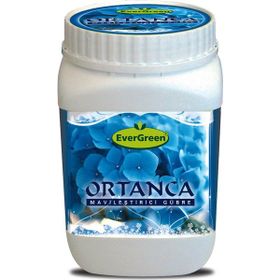 Evergreen Ortanca Mavileştirici 1 kg Gübre