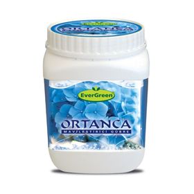 Evergreen Ortanca Mavileştirici 1 kg Gübre