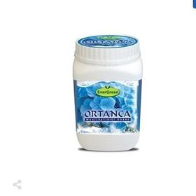 Evergreen Ortanca Mavileştirici 1 kg Gübre