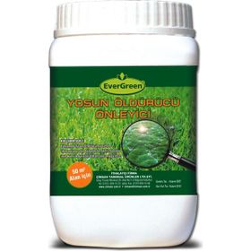 Evergreen Yosun Öldürücü Ve Önleyici 1,5 kg Gübre