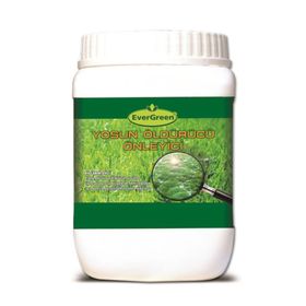 Evergreen Yosun Öldürücü Ve Önleyici 3,5 kg Gübre