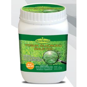 Evergreen Yosun Öldürücü Ve Önleyici 3,5 kg Gübre