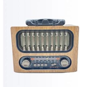Everton RT-761 USB FM Radyo Müzik Çalar