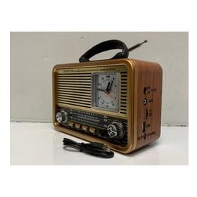 Everton RT-781 USB FM Müzik Çalar Radyo