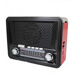 Everton RT-832 Fm Radyo
