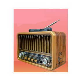 Everton RT-834 Solar Güneş Panelli Nostaljik Radyo