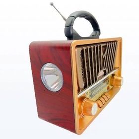 Everton RT-867 Müzik Kutusu