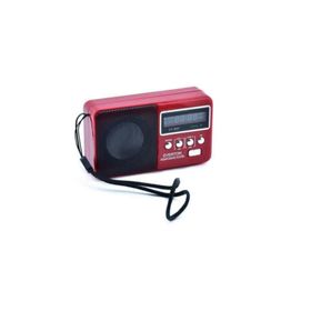 Everton VT-3097 Kırmızı Radyo