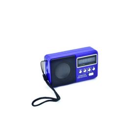 Everton VT-3097 Mavi Radyo