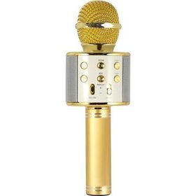 Evervox EVR KRK 02 Gold Karaoke Mikrofon