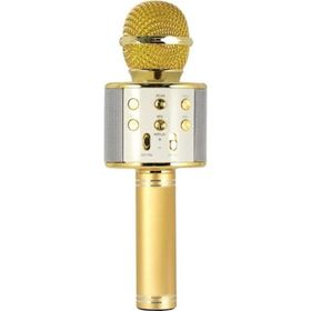 Evervox EVR KRK 02 Gold Karaoke Mikrofon
