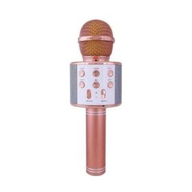Evervox EVR KRK 02 Gold Karaoke Mikrofon