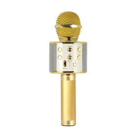 Evervox EVR KRK 02 Gold Karaoke Mikrofon