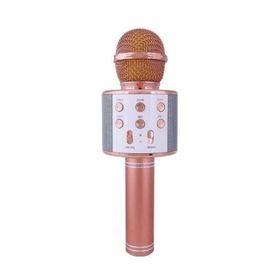 Evervox EVR KRK 02 Gold Karaoke Mikrofon
