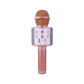 Evervox EVR KRK 02 Rose Gold Karaoke Mikrofon