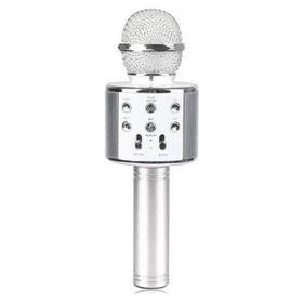 Evervox EVR KRK 02 Silver Karaoke Mikrofon