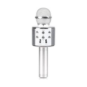 Evervox EVR KRK 02 Silver Karaoke Mikrofon