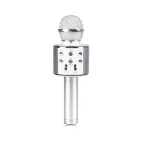 Evervox EVR KRK 02 Silver Karaoke Mikrofon