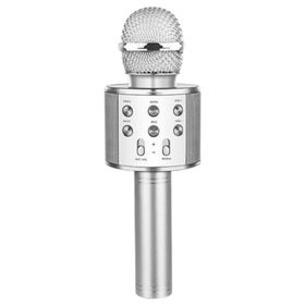 Evervox EVR KRK 02 Silver Karaoke Mikrofon