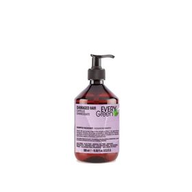 EveryGreen Yeniden Yapılandırıcı ve Onarıcı Damaged Hair 500 ml Yıpranmış Saçlar Şampuan