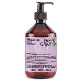 EveryGreen Yeniden Yapılandırıcı ve Onarıcı Damaged Hair 500 ml Yıpranmış Saçlar Şampuan