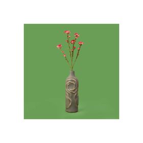 Evidea Deco Kranfil Kırmızı 68 cm Dal Çiçek
