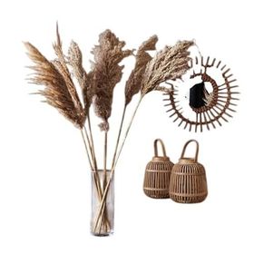 Evidea Deco Pampas Bej 90x20 cm Yapay Çiçek
