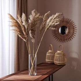 Evidea Deco Pampas Bej 90x20 cm Yapay Çiçek