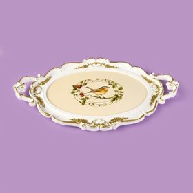 Evidea Kitchen Birdy Hürrem Renkli 48 cm Tepsi