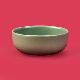Evidea Kitchen Nordic Yeşil 15 cm Kase