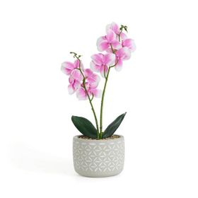 Evidea Objevi 12x35 cm Pembe Beton Saksıda Real Touch Orkide