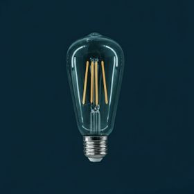 Evidea Orbus St64 6W Filament Bulb Clear E27 600Lm Ra80 220- 240V/50Hz 2700K Sarı Işık Ampul