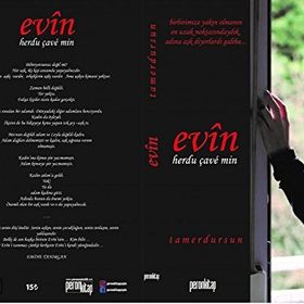 Evin - Tamer Dursun