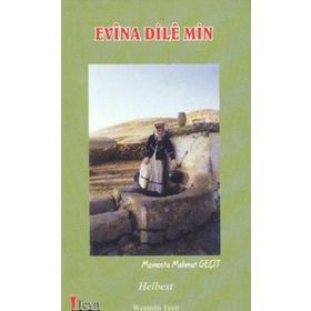 EVINA DILE MIN - GENEL