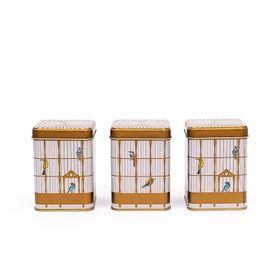 Evle Birdcage 3 Parça Kare Saklama Set