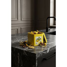 Evle EF014-Q5 Sn_citrus Limon Desenli Kare Metal Saklama Kabı