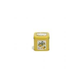 Evle EF014-Q5 Sn_citrus Limon Desenli Kare Metal Saklama Kabı