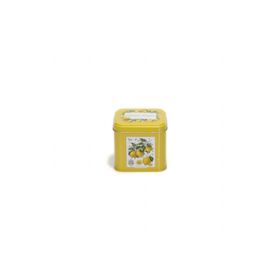 Evle EF014-Q5 Sn_citrus Limon Desenli Kare Metal Saklama Kabı