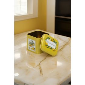 Evle EF014-Q5 Sn_citrus Limon Desenli Kare Metal Saklama Kabı