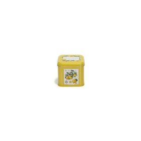 Evle EF014-Q5 Sn_citrus Limon Desenli Kare Metal Saklama Kabı
