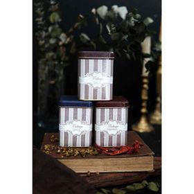 Evle Elegance Kare Mini 3 Parça Saklama Kabı Seti