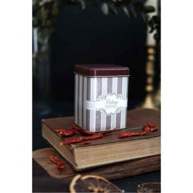 Evle ER008-6L Saklama Kabı