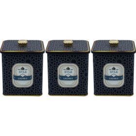 Evle ERB22V2 Kare Metal Saklama Kabı Seti