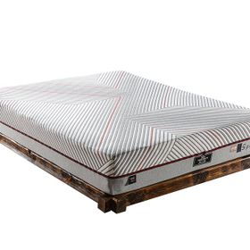 Evline Sportive 160x200 CM Yatak