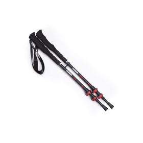 Evolite Carbon Quick-Lock Dıştan Kilitli Trekking Batonu