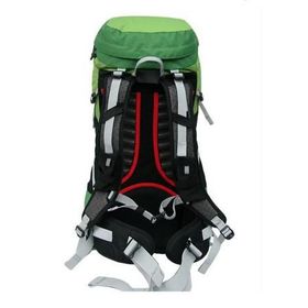 Evolite Walker Yeşil 40 lt Sırt Çantası