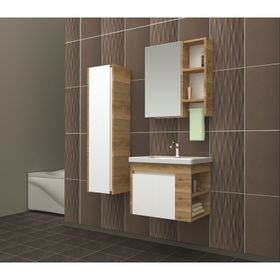 Evros Polo 65 cm Banyo Dolabı