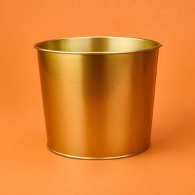 Evstyle 22x18 cm Gold Paslanmaz Saksı