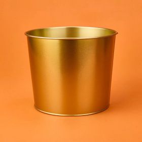 Evstyle 22x18 cm Gold Paslanmaz Saksı